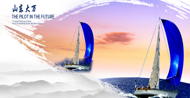 山東大萬實業(yè)有限公司